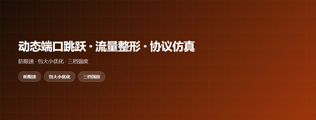 端口跳跃与流量整形的分工示意